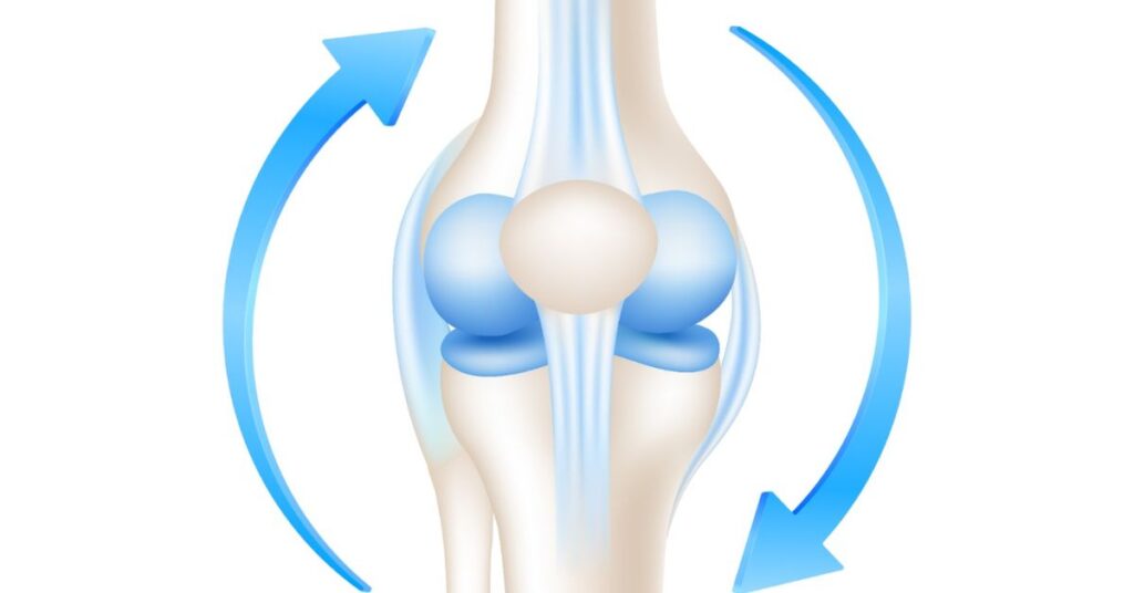 healthy joints, orthopaedic doctor in indore