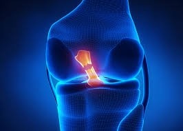 Best Ligament Surgery in Indore